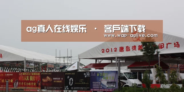 案例标题十