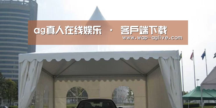 案例标题八