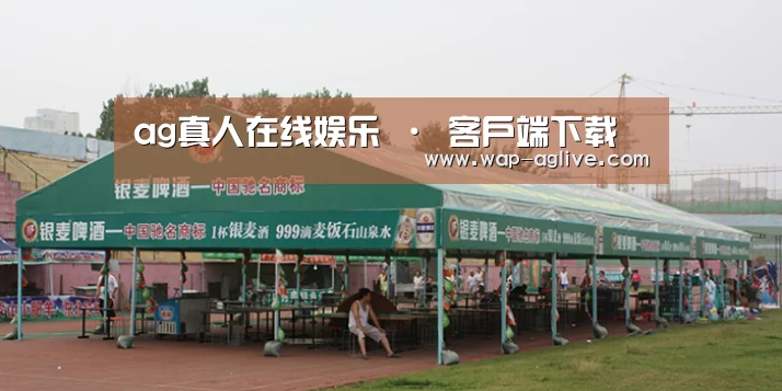 案例标题七