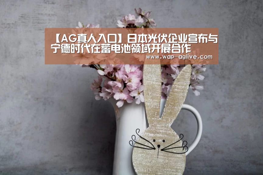 【AG真人入口】日本光伏企业宣布与宁德时代在蓄电池领域开展合作(图2) AG真人入口