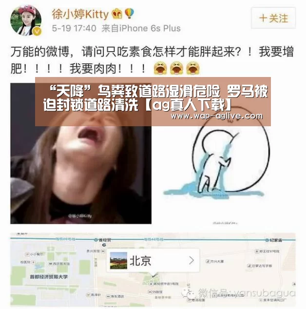 “天降”鸟粪致道路湿滑危险 罗马被迫封锁道路清洗【ag真人下载】