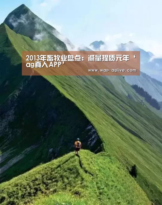 2013年畜牧业盘点:减量提质元年‘ag真人APP’
