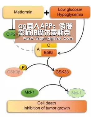 ag真人APP:俄摄影师拍摩尔曼斯克极夜美景 宛如童话王国