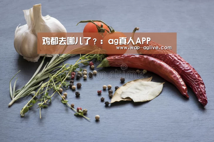 鸡都去哪儿了?:ag真人APP
